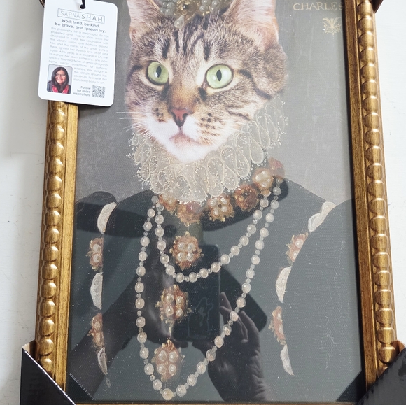 NWT Sapna Shah 12 x 18 Queen Elizabeth Dress Framed Art Print Glass.
